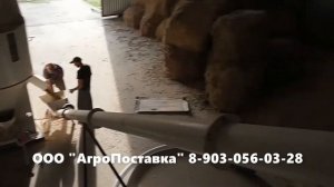 Шнековый транспортер ТСШ-150.  Видео работы