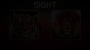 Кто сильней лев или тигр?))