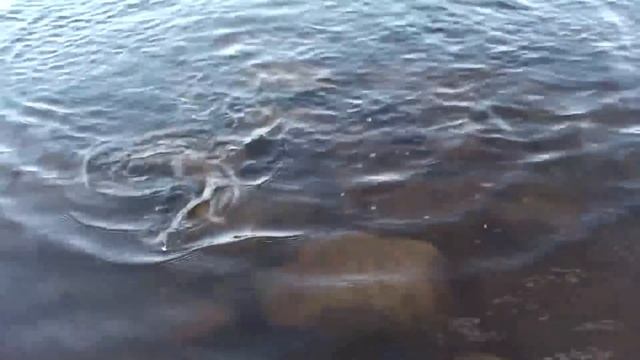 Ловля хариуса на ультралайт