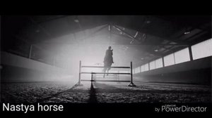 Клип про лошадей|Nastya Horse| #лошади