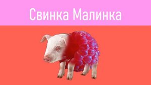 СВИНКА-МАЛИНКА_RASPBERRY-PIG