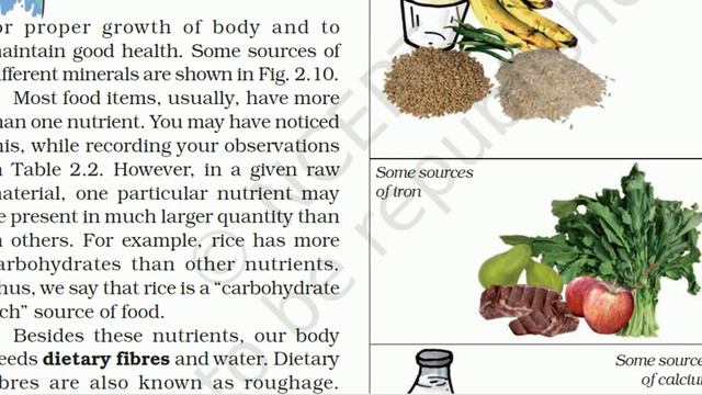 Food Components!!Proteins,Vitamins,Fats,Carbohydrates&Minerals!!NCERT Science Notes
