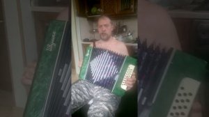 Косил сено старичок - гармонь, Сергей Макаров