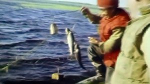 1987 год. Тюменская область. Рыбаки на промысле