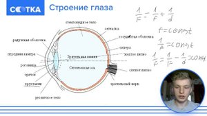 Глаз как оптическая система за 5 минут | ФИЗИКА ОГЭ | СОТКА