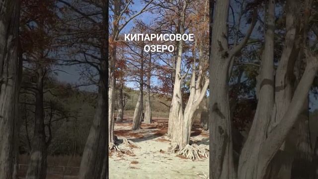 Кипарисовое озеро высохло. Сукко. Ноябрь 2023 г. смотреть онлайн