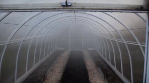 Как быстро помыть теплицу весной и осенью