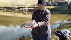 ЛОВЛЯ КАРПА И КАРАСЯ / НА ПЛАТНИКЕ  / НА ЧЕРВЯ / Мirror Сarp