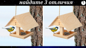 Найдите 3 отличия