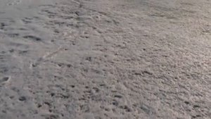 Подледный лов рыбы сетями. Зарисовка.