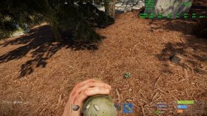 Rust RX 5600 XT 1440p