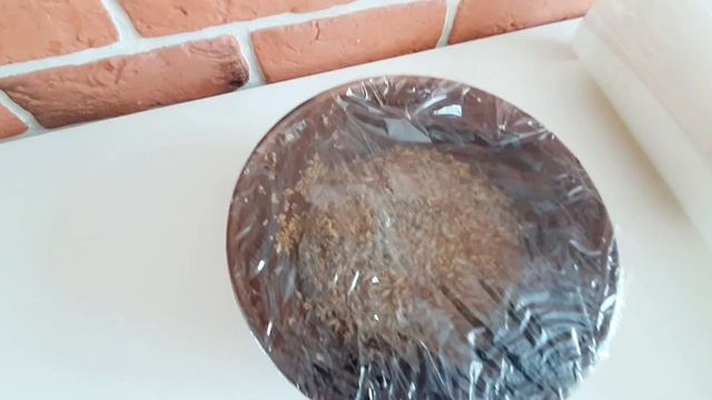 Пророщенка. Влажный корм для попугаев.  Вільготны корм для папугаяў. Sprouts. Wet food for parrots.