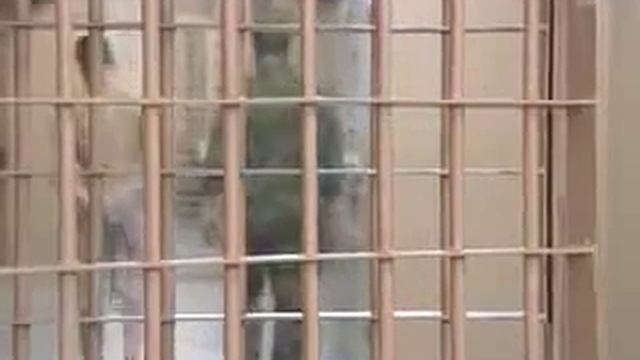 Тюремные наколки смотреть онлайн