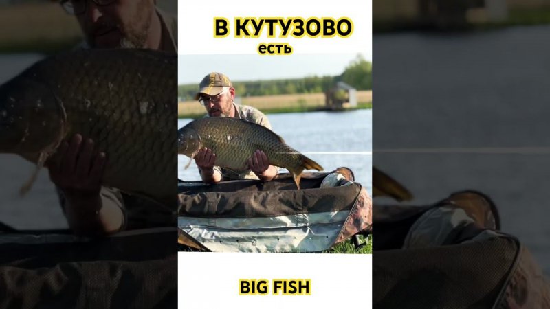 Недавно запускали БИГА и уже ловят! #платнаярыбалка #fishing #carpfishing #карп #рыбалка #рыба