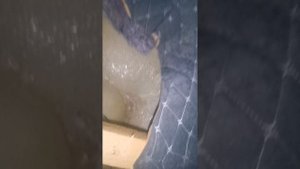 Спальник от автоспальник на газель... ммм?... не советую