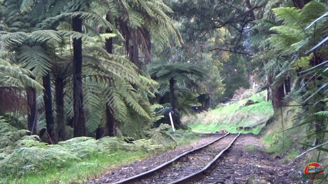 Climax Dinner Run | CLIMAX - Paradise Hotel Dinner Train - Puffing Billy Railway смотреть онлайн