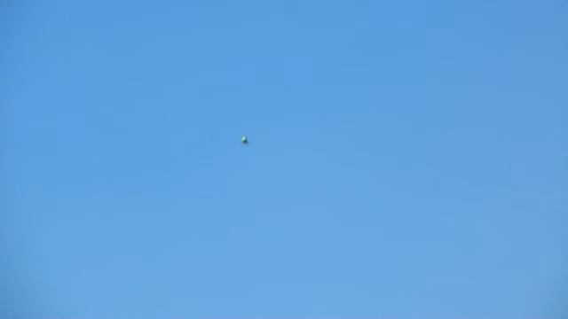 Kamenka, flying RC helicopters T Rex500 T Rex550 p30 смотреть онлайн