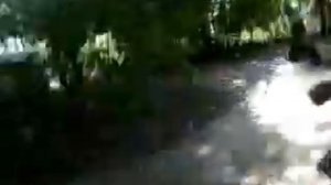 Прогулки по селу Кулешовка