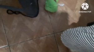 Angry Birds Remastered Episode 1: Poached Eggs