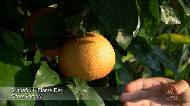 Extreme Zone Pushing Part 1 zone 5B Ontario, Canada in 4K смотреть онлайн