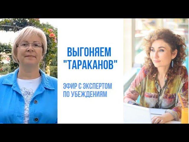 Эфир с экспертом по убеждениям смотреть онлайн