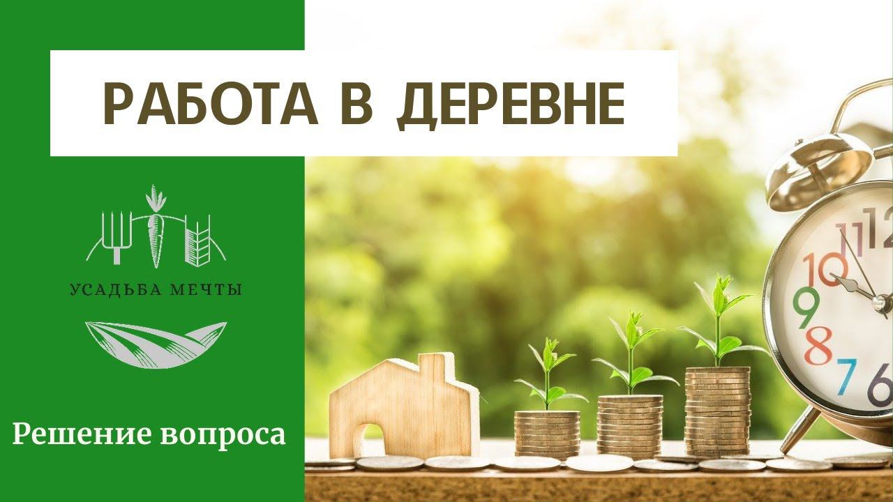 Я решил вопрос с работой в деревне. Заработок в интернете. Удалённая работа в деревне.