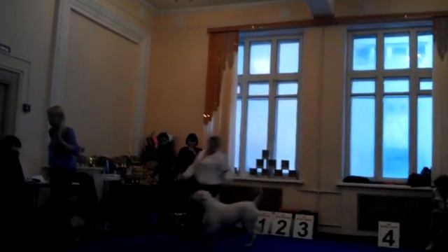 Моно ранга КЧК г. Н. Новгород 11 декабря 2011г. часть 3.1 смотреть онлайн