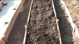 Компостная грядка в коробе. Часть 1// Секреты хороших урожаев