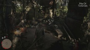 16 ПАСХАЛОК и СЕКРЕТОВ в RED DEAD REDEMPTION 2 #1 [Easter Eggs]