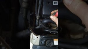 Выносной термостат в корпусе на Chevrolet Lacetti .