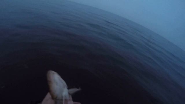 Оставил донки на ночь | Экстремальная рыбалка на налима смотреть онлайн