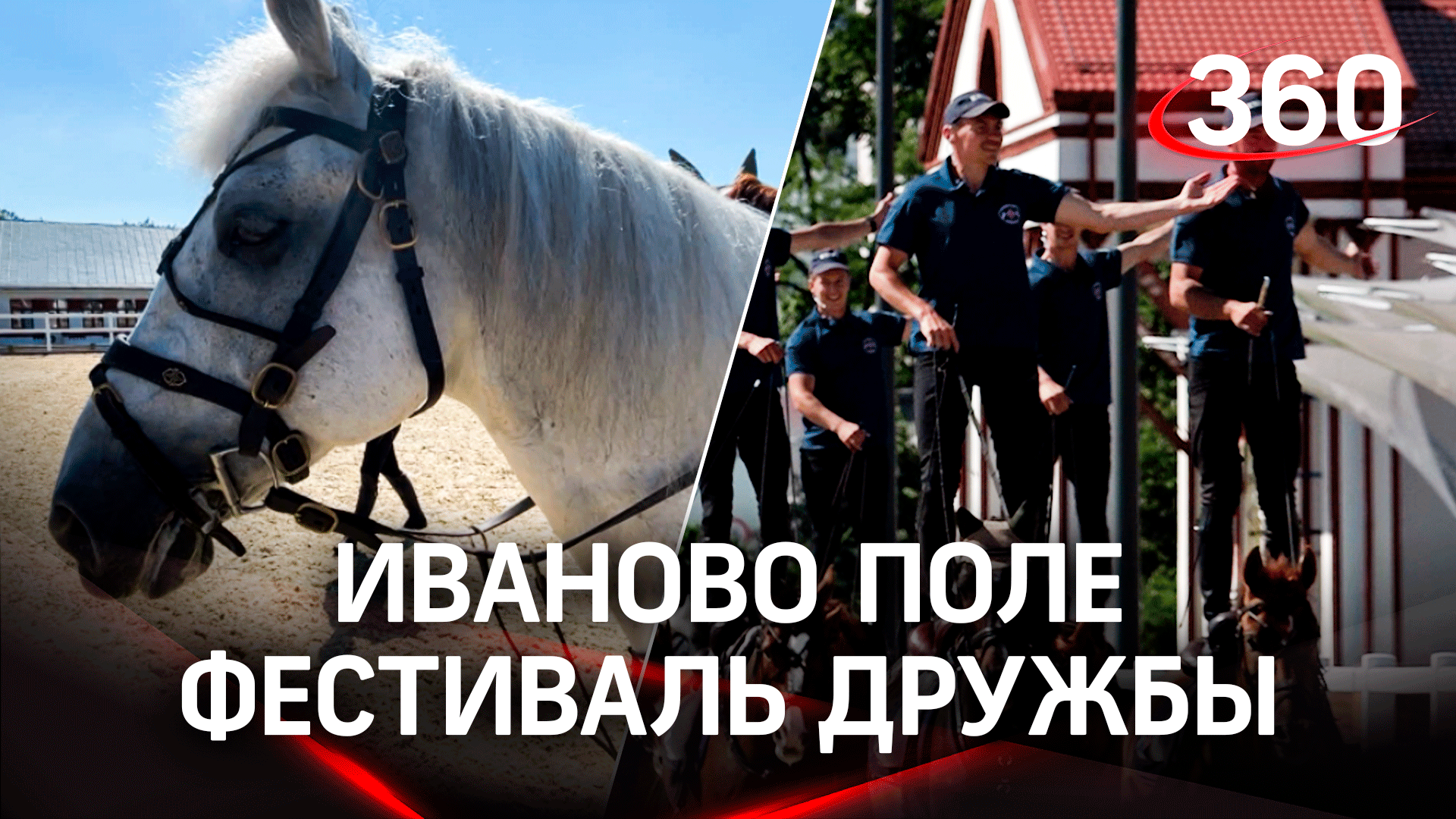 Иваново поле - крупнейший фестиваль конного мира