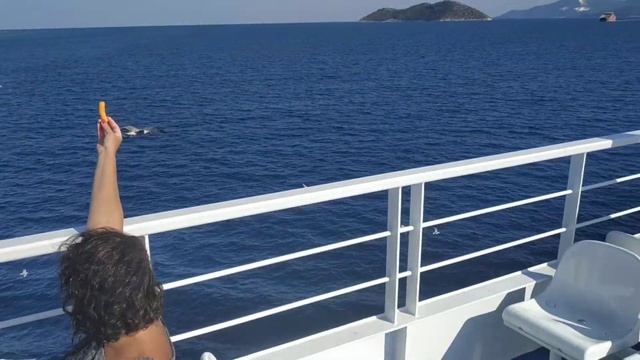 На ферибота Керамоти - Тасос смотреть онлайн