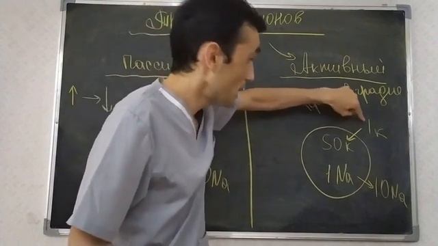 Физиология. 4 тема. Биопотенциалы. МПП (мембрана потенциал покоя). смотреть онлайн