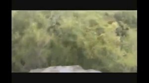 Вездеход амфибия Bonai