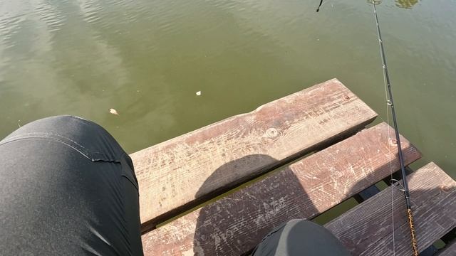 Смотреть видео онлайн