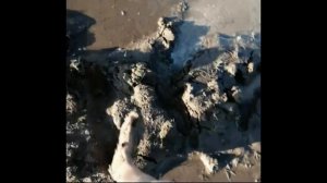 Нива пневмоход. Предел найден.