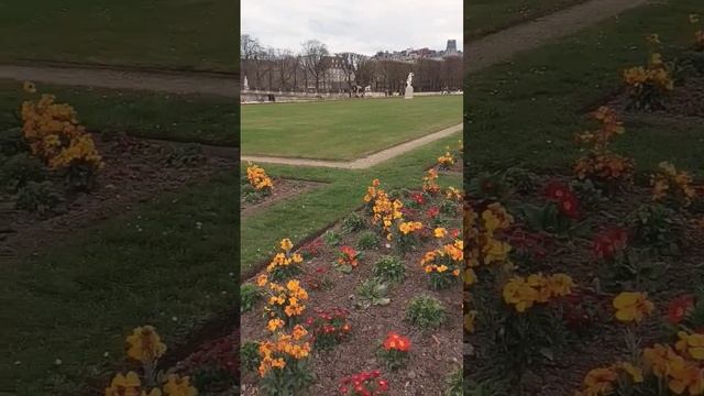 JARDIN DE LUXEMBOURG  PARIS #jardin #LUXEMBOURG