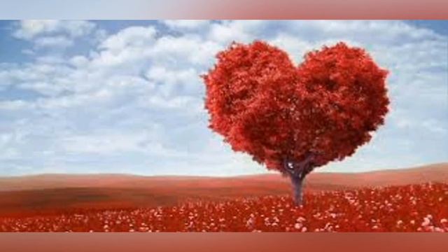 Притча о Любви, Богатстве и Здоровье смотреть онлайн