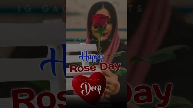 Happy Rose Day Deep