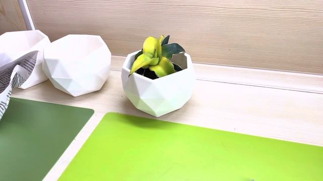 Две Посылки ???#монстера #сансевиерия #нолина#антуриум смотреть онлайн