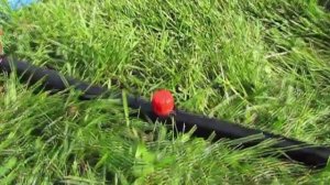 Капельницы для полива   регулируемая капельница