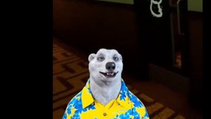 испугались???                        белый медведь|мем 27 ноября|ходилки бродилки