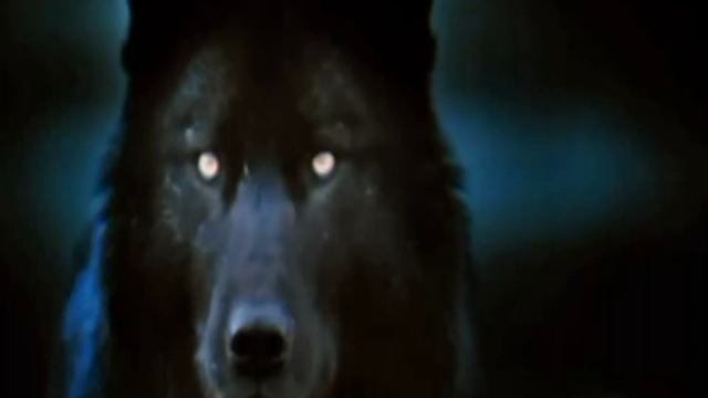 Любовь на бис / Shah Rukh Khan смотреть онлайн