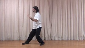 William Kaplanidis Tai Chi / Taijiquan Yang style 24