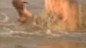 "Zooпарк": "Смертельное лето"