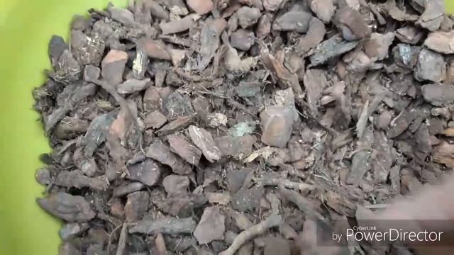 ОРХИДЕИ в керамическом горшке. Как пересадить орхидею с минимальным повреждением корней - ЛЕГКО! смотреть онлайн