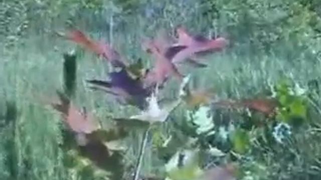 картинки неба и земли смотреть онлайн