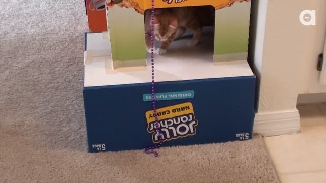 Play-Kitty Mansion! смотреть онлайн