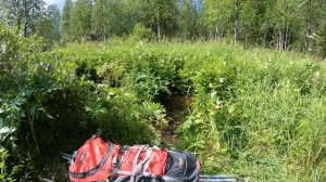 из  АЗИИ  в ЕВРОПУ